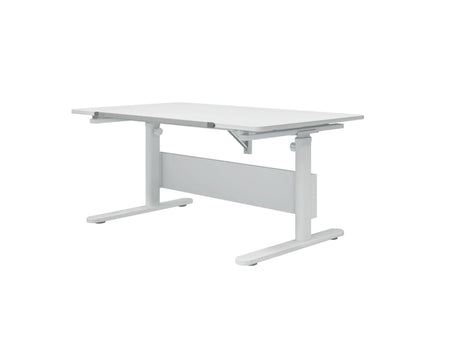 FLEXA Evo Study Desk - fixed desktop/Metal