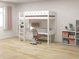 FLEXA Evo Study Desk - fixed desktop/Metal
